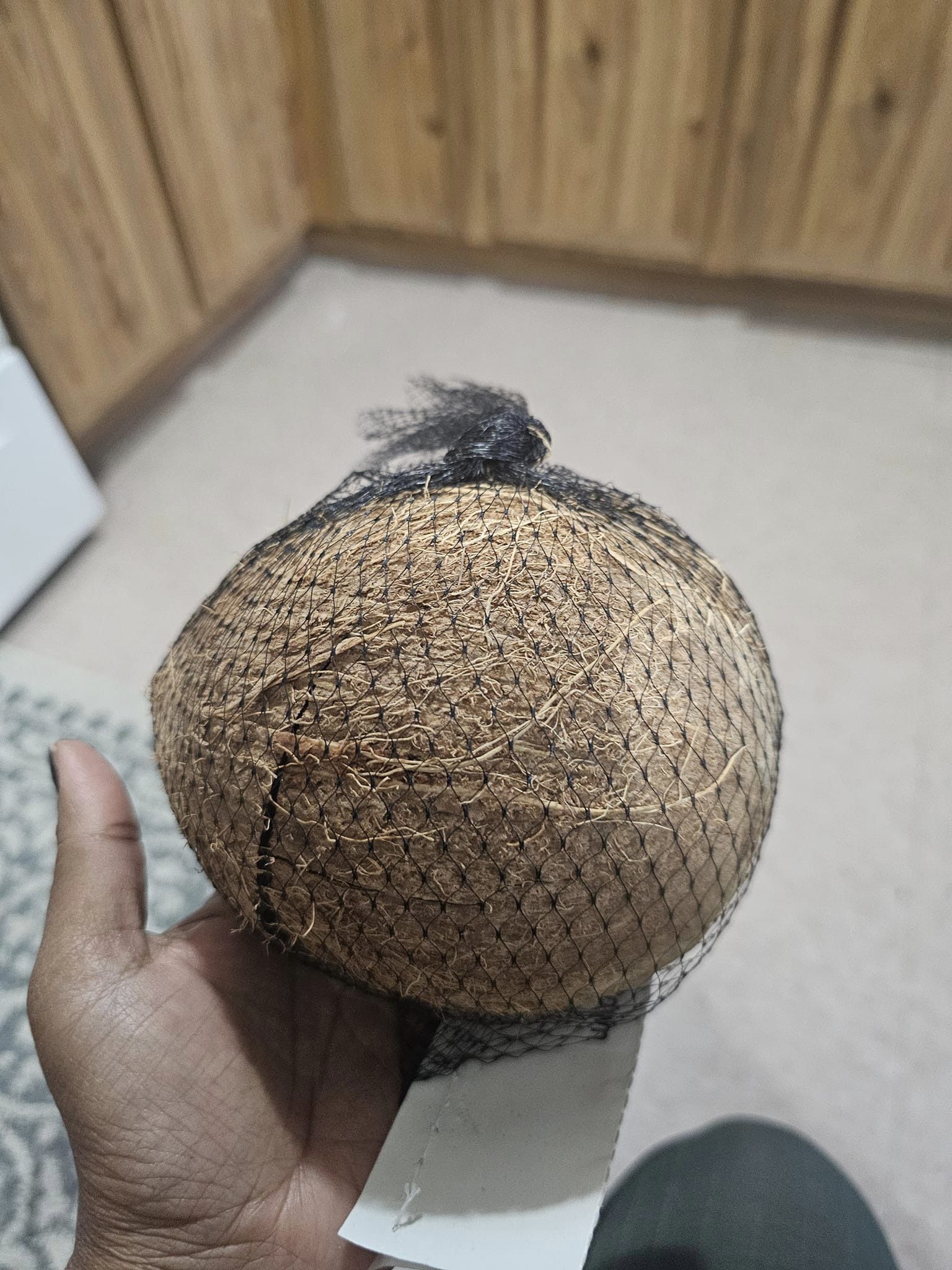 Coconut